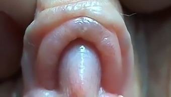 Nekta'S Tight Pussy Gets Closeup Attention